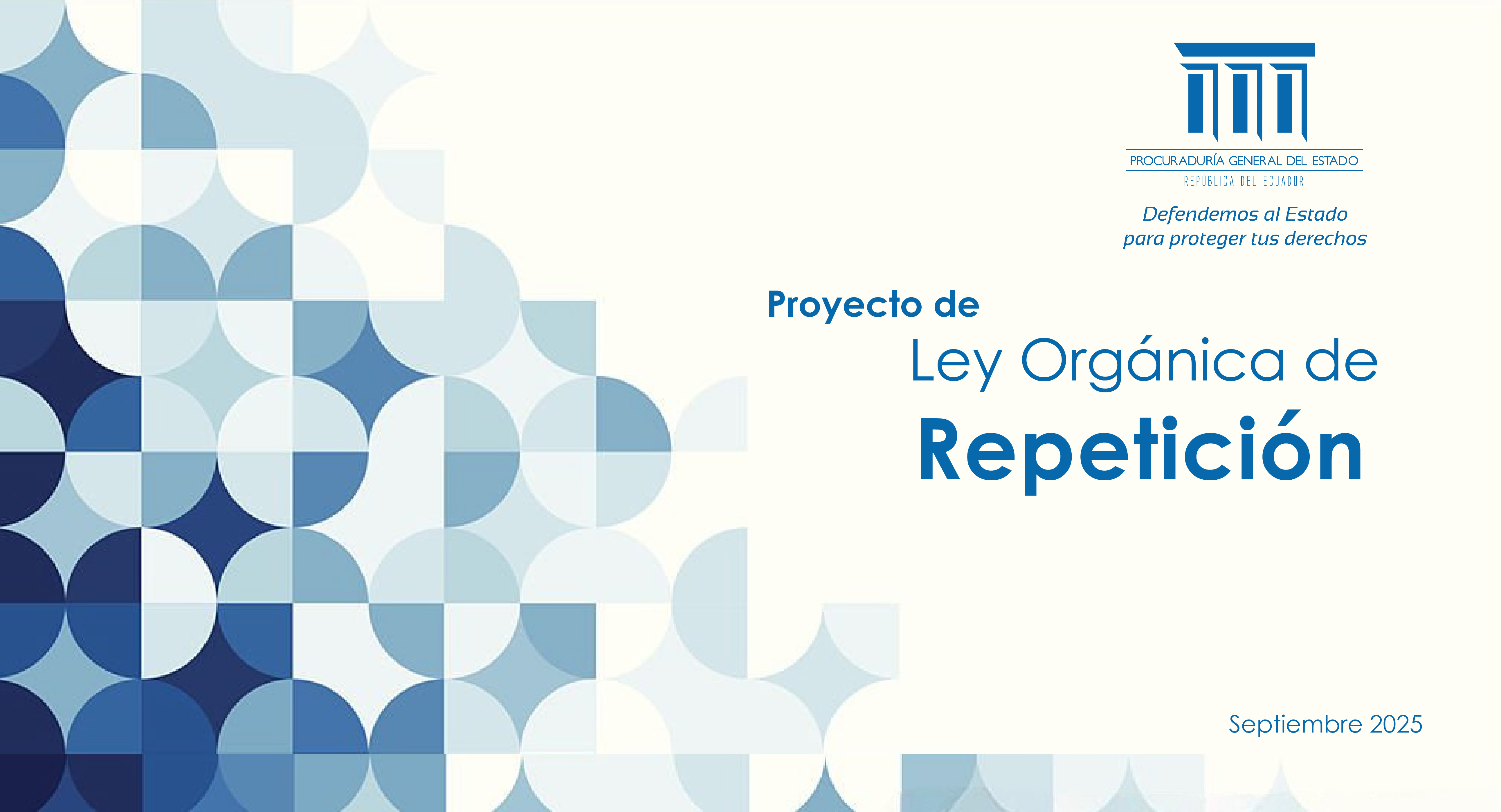 Proyecto Ley Repetición