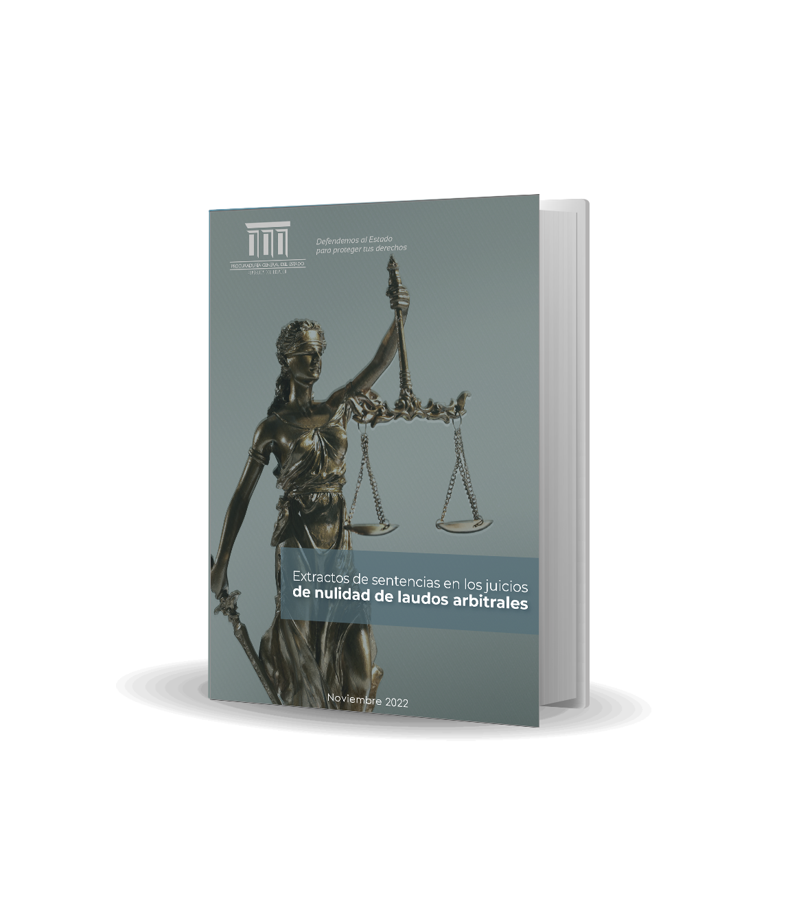 montaje libro manual DEFENSA